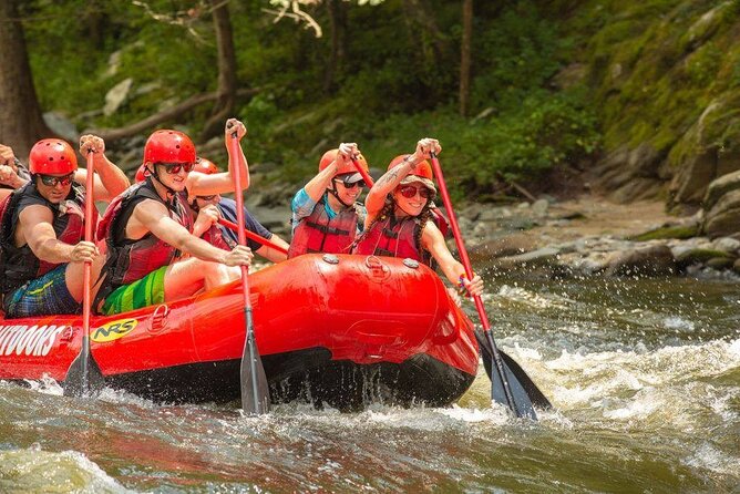 Lower Pigeon River Rafting Tour - Activity Inclusions