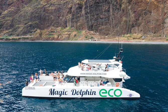 Madeira Dolphin and Whale Watching on a Ecological Catamaran - Marine Life Sightings