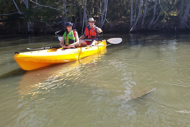 Manatee and Dolphin Kayaking | Haulover Canal (Titusville) - Included in the Tour