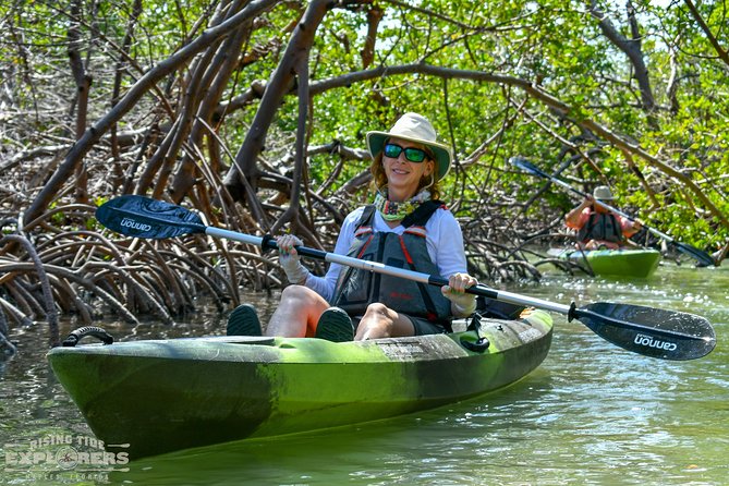 Mangrove Tunnels & Mudflats Kayak Tour - Local Biologist Guides - Exploring Rookery Bay