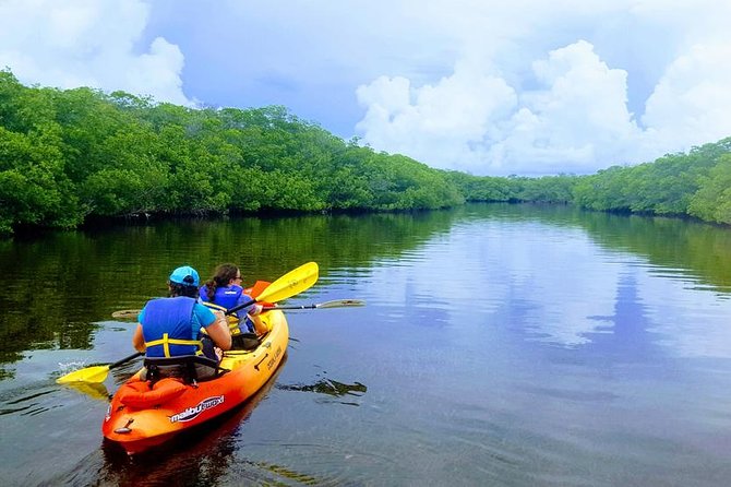 Mangroves and Manatees - Guided Kayak Eco Tour - Ideal for All Skill Levels