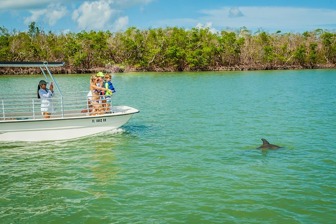 Marco Island Dolphin Sightseeing Tour - Reviews