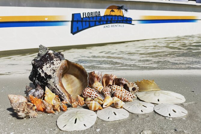 Marco Island Wildlife Sightseeing and Shelling Tour - Positive Reviews