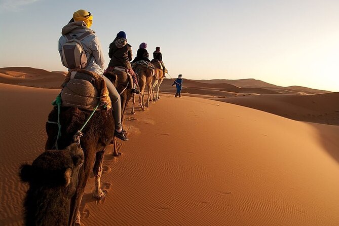 Marrakech to Merzouga Desert 3-Day via the High Atlas Mountains - Included Activities