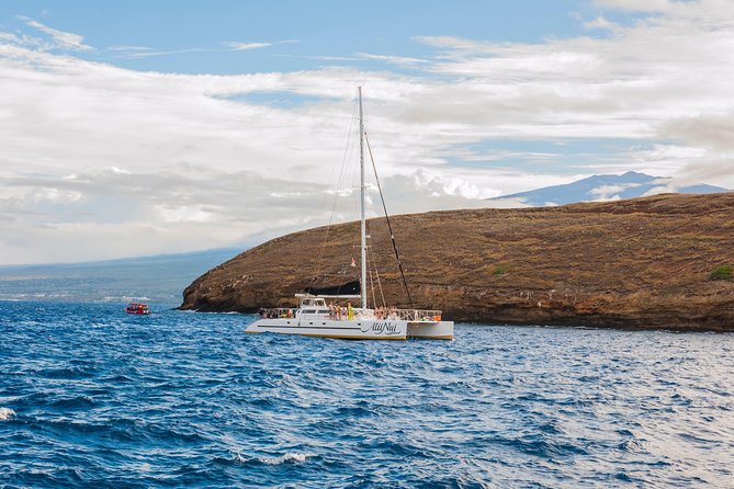 Molokini and Turtle Arches Snorkeling Trip From Maalaea Harbor - Expectations