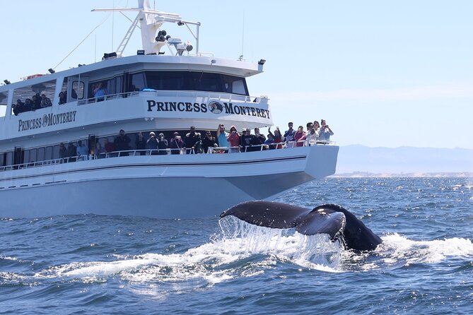 Monterey Whale Watching Tour - Location and Duration