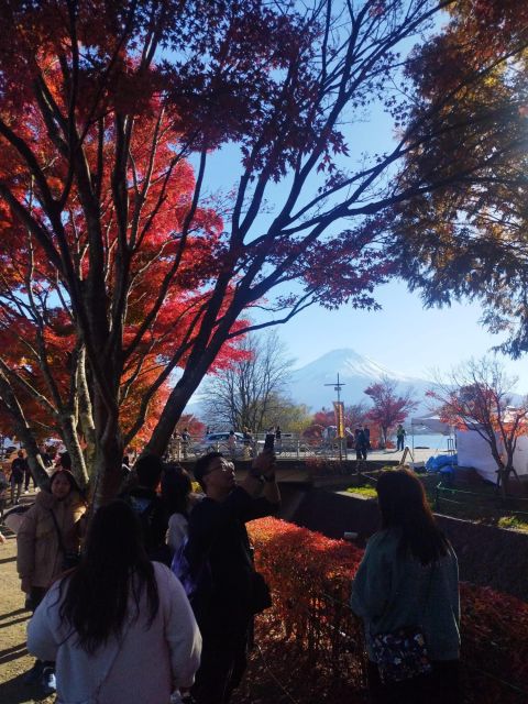 Mount Fuji - Hakone & Onsen Full Day Private Tour - Itinerary Highlights