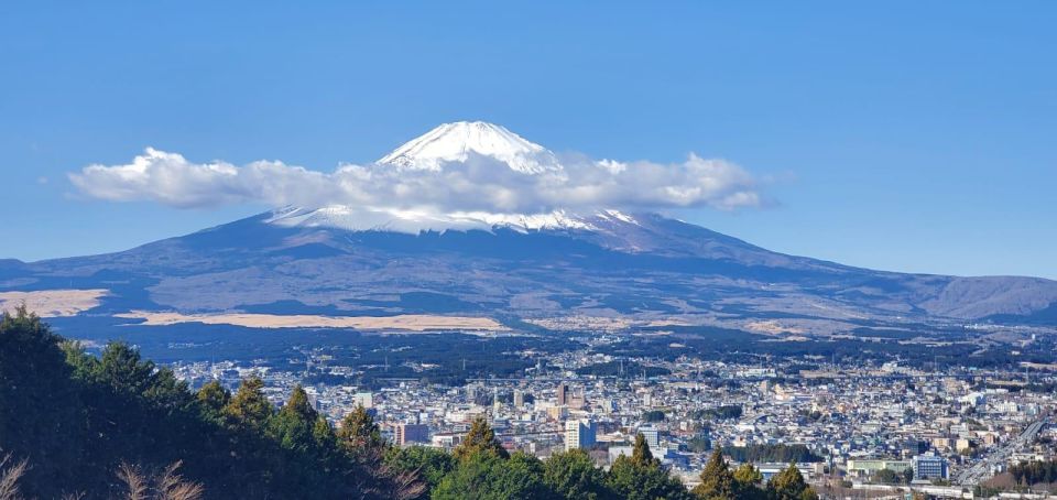 Mt Fuji and Hakone Private Tour With English Speaking Driver - Destinations