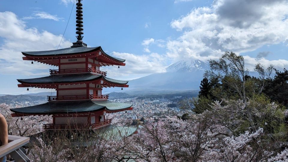 Mt Fuji & Hakone: Sightseeing Private Day Tour With Guide - Key Highlights