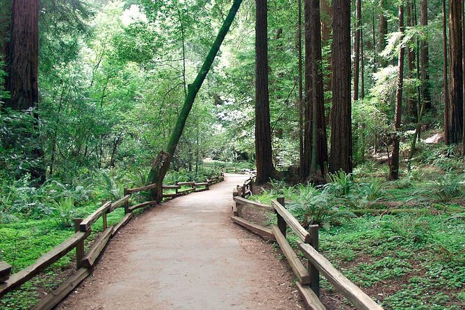 Muir Woods Tour of California Coastal Redwoods - Inclusions