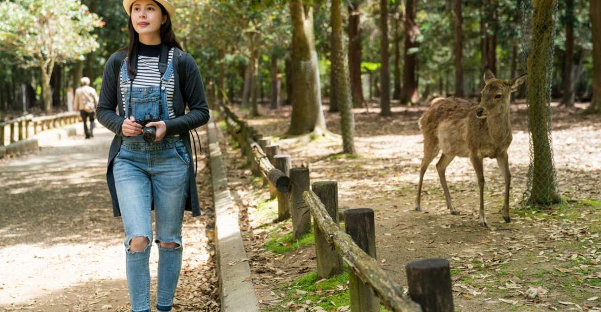 Nara's Historical Wonders: A Journey Through Time and Nature - Nara Parks Deer and Shrines