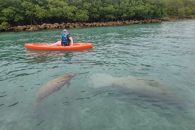 Nature & Island Exploration on SUP/Kayak - Choosing Your Aquatic Adventure