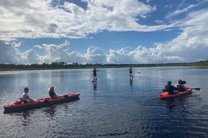 New Smyrna Dolphin and Manatee Kayak and SUP Adventure Tour - Included Activities and Gear