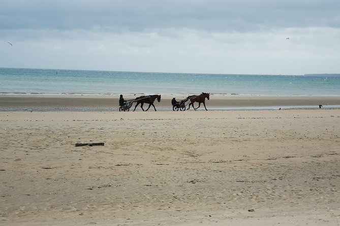 Normandy Beaches Half-Day Afternoon Trip From Bayeux (A2) - Omaha Beach