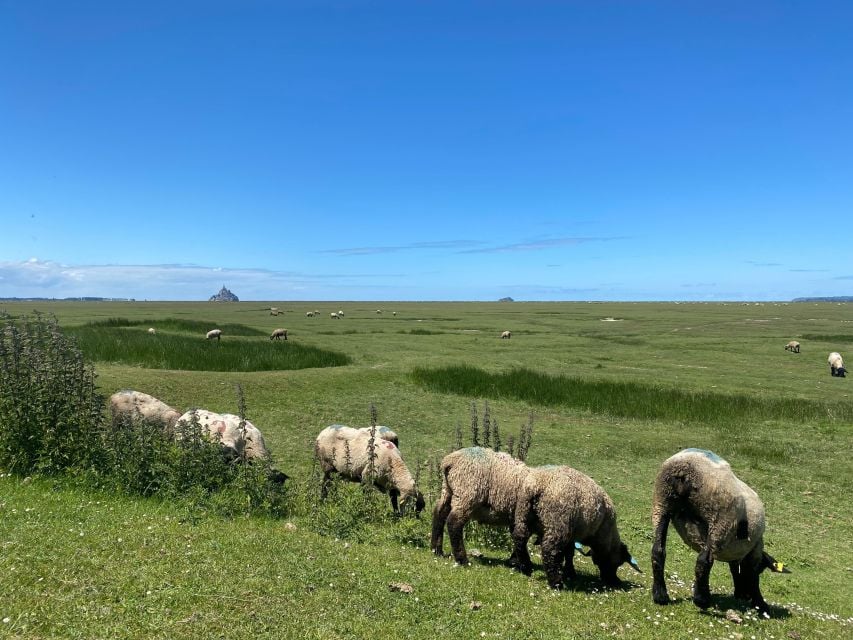 Normandy: Private Guided Tour With a Local Expert - Discover Mont Saint Michel