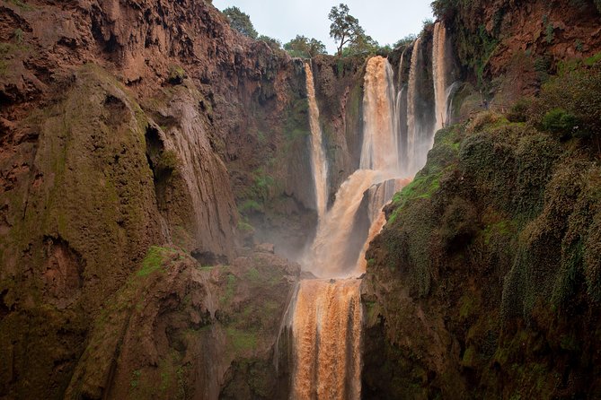 Ouzoud Falls Day Trip From Marrakech - Inclusions