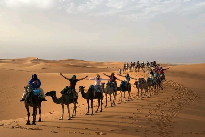 Overnight Camel Trekking in Merzouga Desert/ Erg Chebbi - Experience Highlights