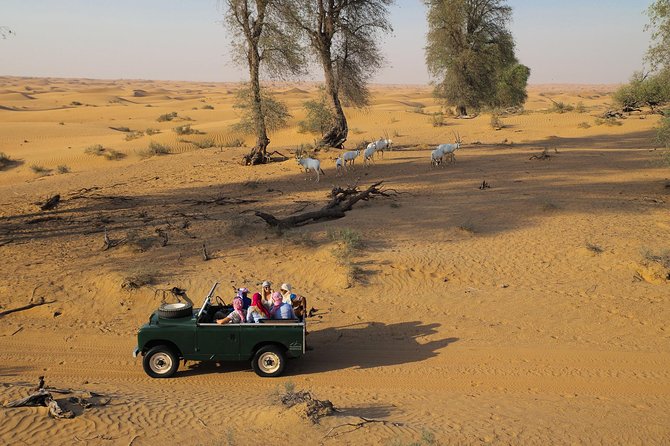 Overnight Desert Safari - Vintage Land Rovers & Traditional Activities - Traditional Emirati Activities and Demonstrations