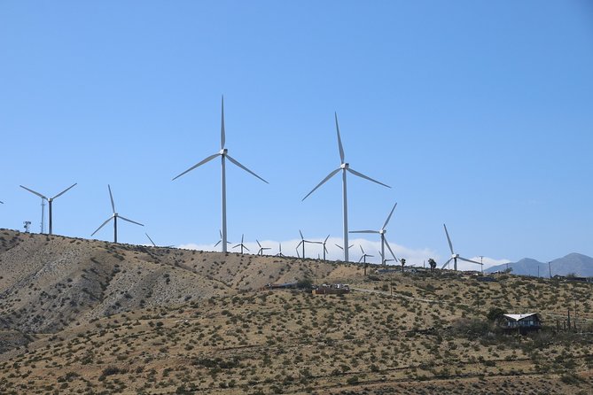 Palm Springs Windmill Tours - Highlights of the Tour Experience