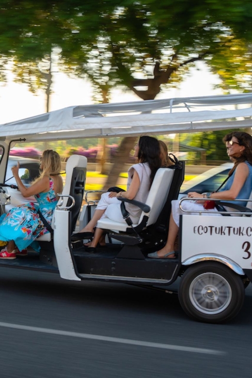 Paris: City Tour by Private Eco Tuk-Tuk - Highlights and Itinerary