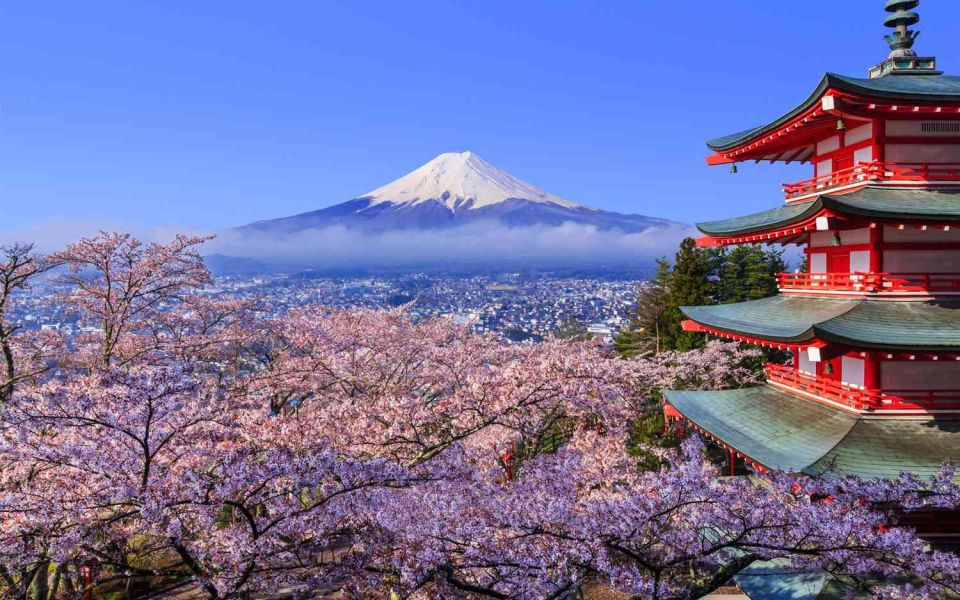 Private Day Trip to Mt. Fuji & Hakone Cherry Blossoms - Itinerary Highlights
