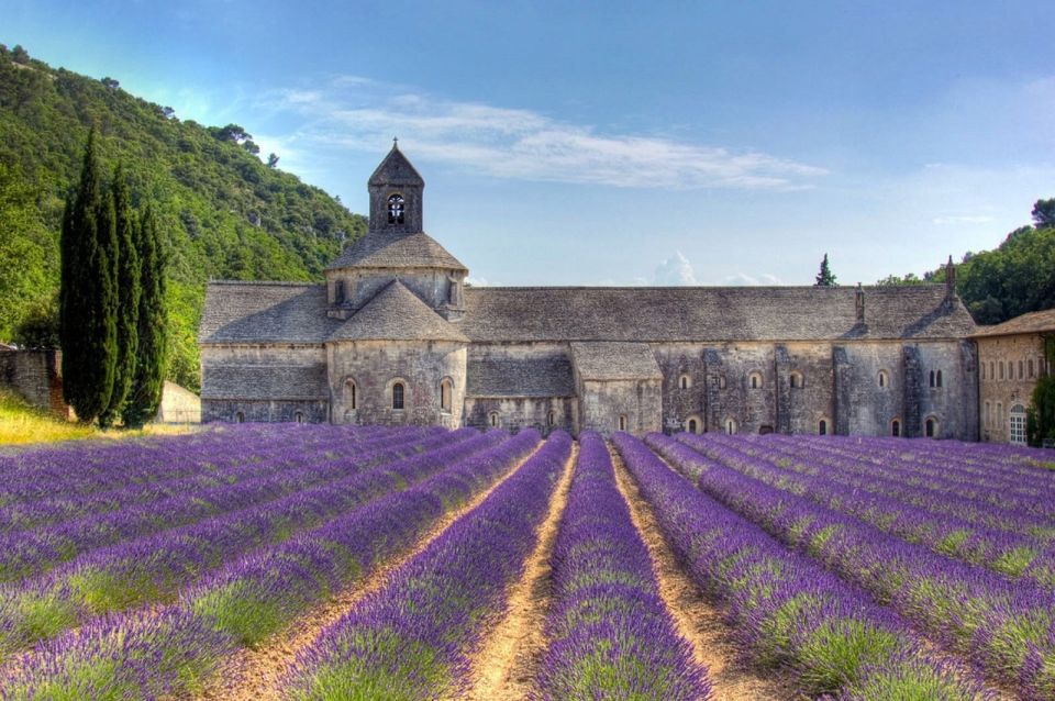 Private Lavender of Provence Tour - Highlights