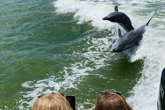 Private Shelling and Dolphin Excursion - Dolphin Watching Highlights