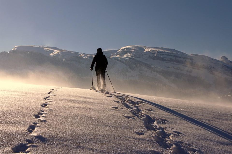 Private Snowshoeing Full Day - Immersive Experience