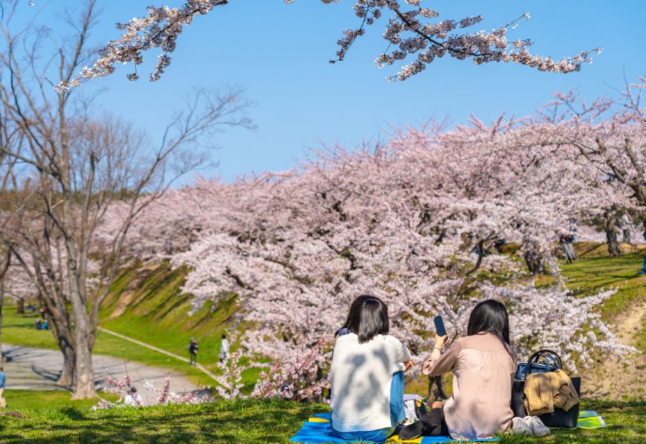 Private & Unique Nagasaki Cherry Blossom Sakura Experience - Tour Type and Languages