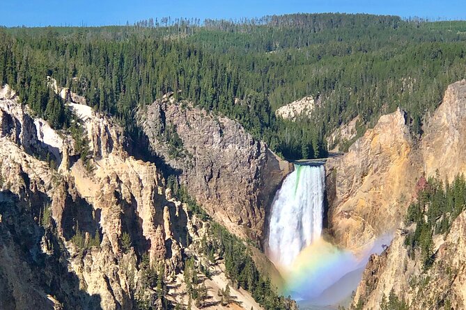 Private Yellowstone Tour: ICONIC Sites, Wildlife, Family Friendly Hikes + Lunch - Maximizing Wildlife Viewing