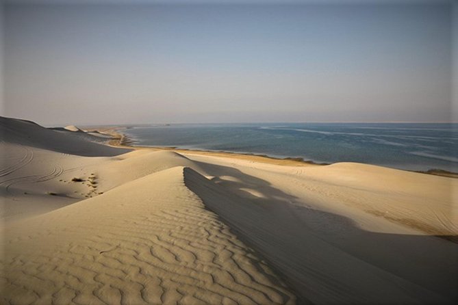 Qatar Gold Dune Safari, Dune Bashing,Camel Ride,Sand Boarding,Inland Sea Desert - Exploring the Inland Sea