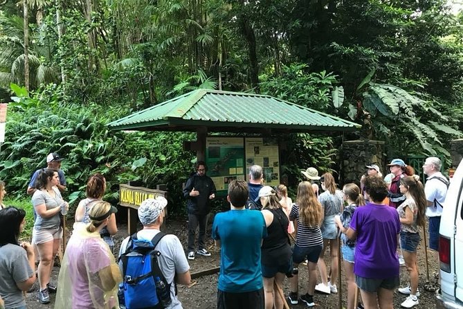 Rainforest Waterfall Trail and Shuttle Service - Included in the Tour