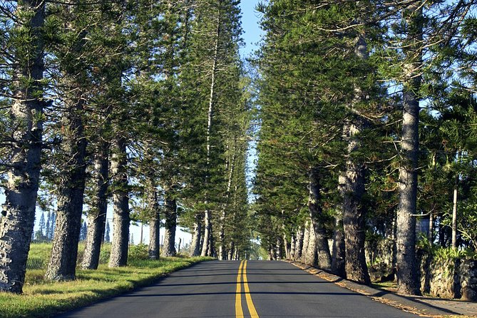 Road to Hana Adventure Tour - Best Tour on Maui - Pickup Locations