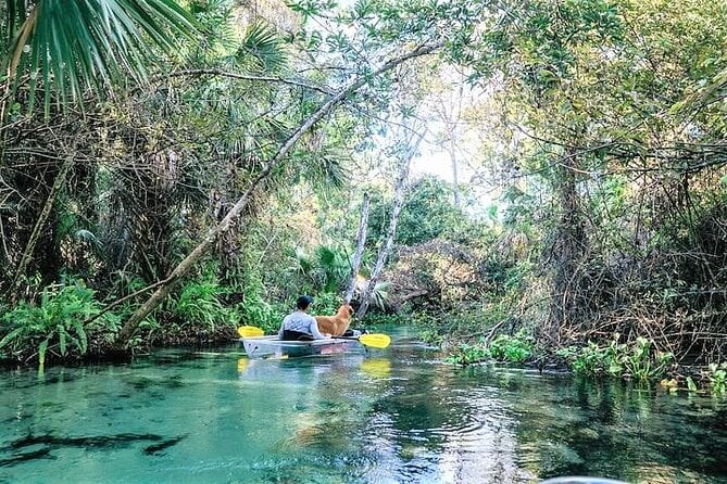 Rock Springs 2-Hour Glass Bottom Guided Kayak Eco Tour - Whats Included