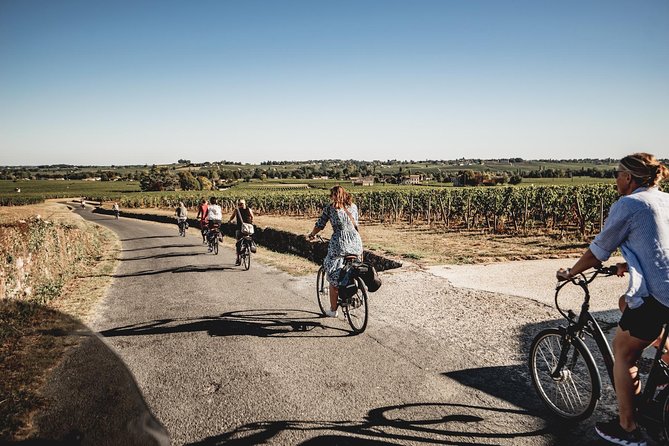 Saint-Emilion Electric Bike Day Tour With Wine Tastings & Lunch - Wine Tastings at Chateaux