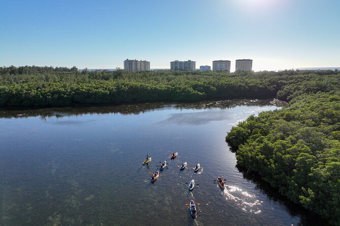 Sarasota Mangrove Tunnel Guided Kayak Adventure - Inclusions and Accessibility