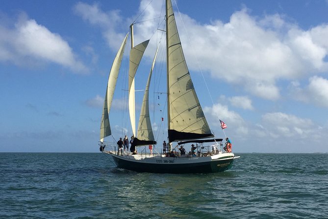 Schooner Clearwater- Afternoon Sailing Cruise-Clearwater Beach - Inclusions