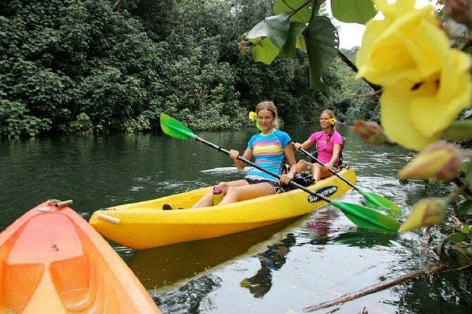 Secret Falls Kayak Hike in Kauai - Activity Details
