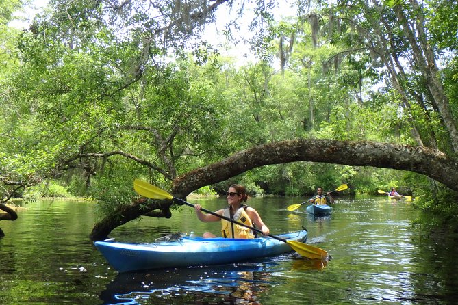 Self Guided Family Friendly Kayak Rental Experience Old Florida - Whats Included