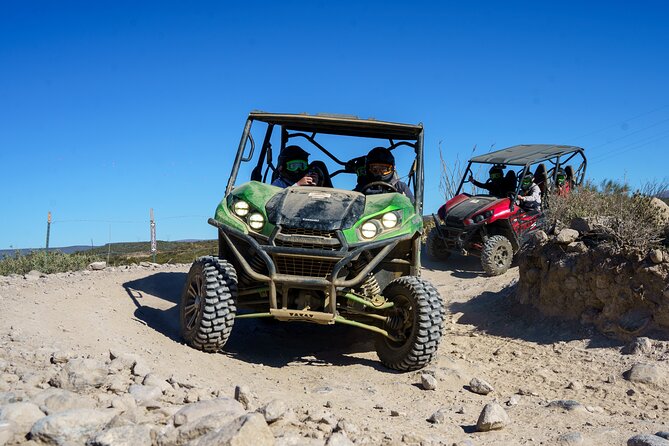 Self-Guided Fear and Loathing UTV Rental - Booking and Pricing Details