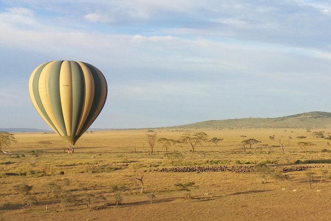 Serengeti Balloon Safari and Authentic Bush Breakfast - Serengetis Sunrise Spectacle