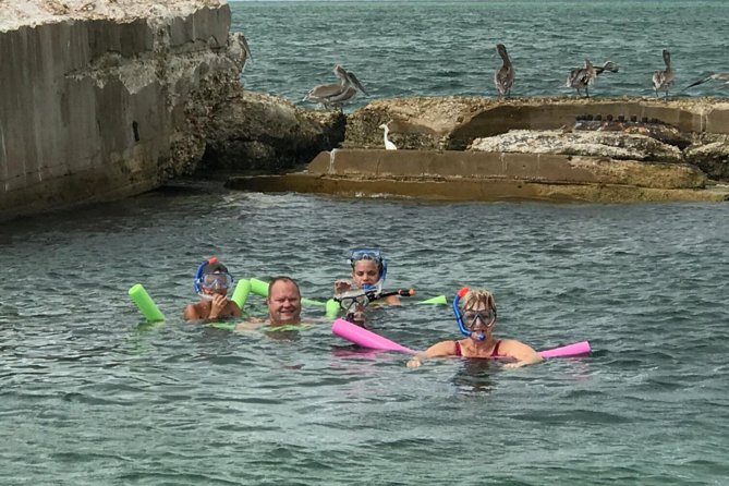Small Group 2 Hour Dolphin Cruise With Snorkeling to Shell Key - Cruise Experience