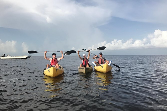 Small Group Boat, Kayak and Walking Guided Eco Tour in Everglades National Park - Boat Ride Through Park