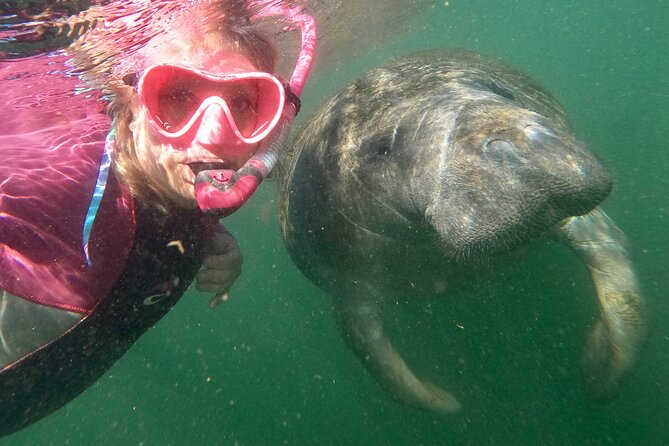 Small Group Manatee Snorkel Tour With In-Water Guide and Photographer - Meeting and Pickup