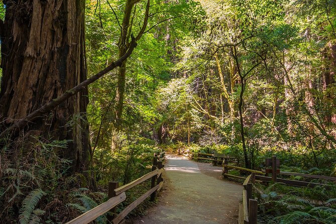 Small-Group Tour: Sf, Muir Woods, Sausalito W/ Optional Alcatraz - Itinerary Highlights