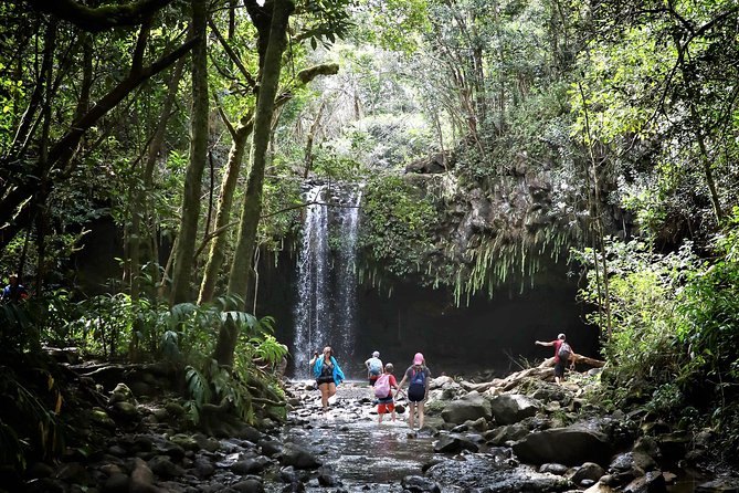 Small Group Waterfall and Rainforest Hiking Adventure on Maui - Inclusions