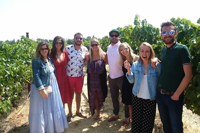 Small-Group Wine Country Tour From San Francisco With Tastings - Wineries and Tastings