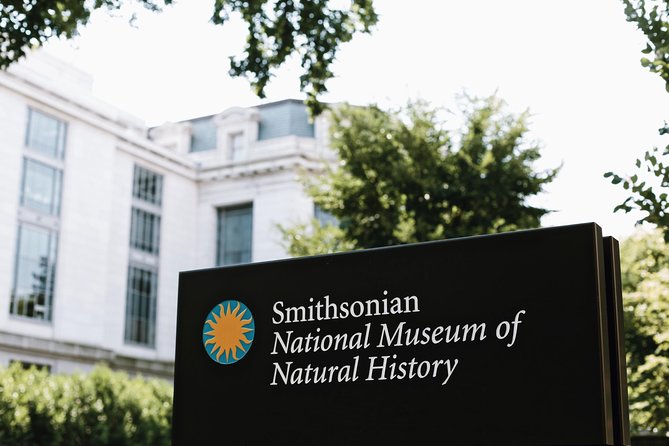 Smithsonian Museum of Natural History - Exclusive Guided Tour - Museum Highlights