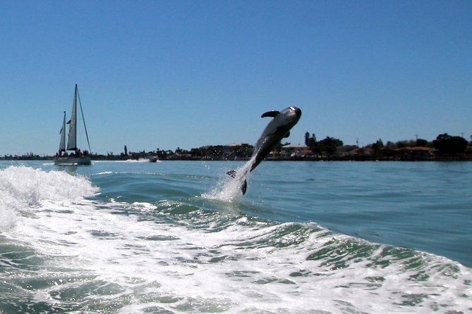 St. Pete Beach Dolphin Racer Speedboat Adventure - Meeting and Pickup Details