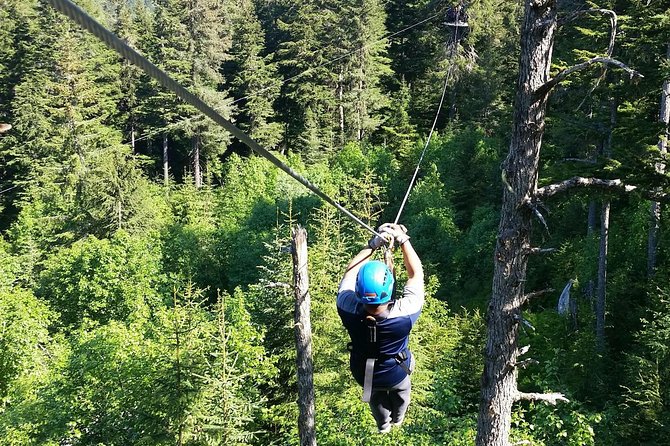 Stoney Creek Canopy Adventure - Thrilling Zipline Adventure